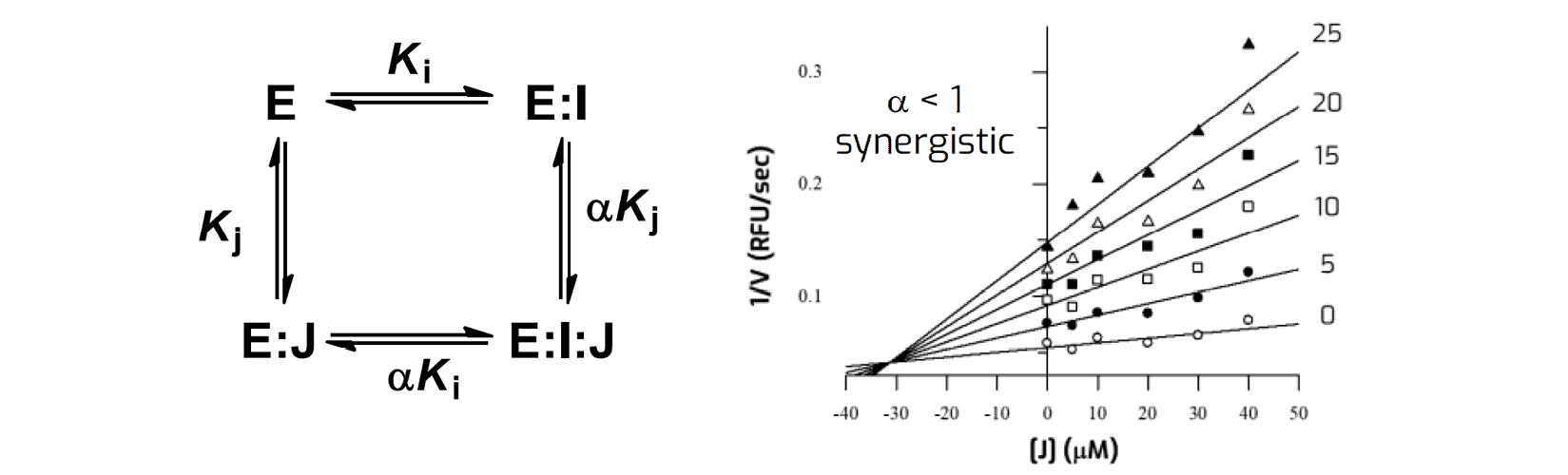 synergistic