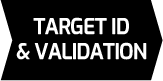 target ID_1