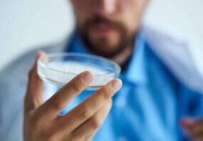 petridish